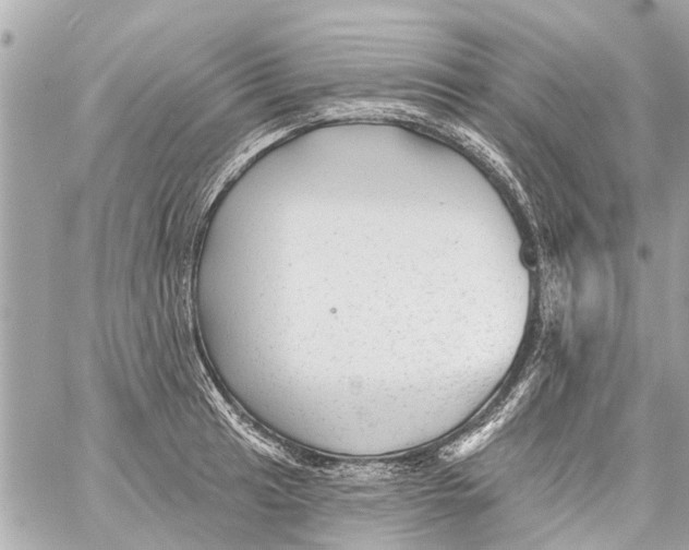 X0000059081041200511041816