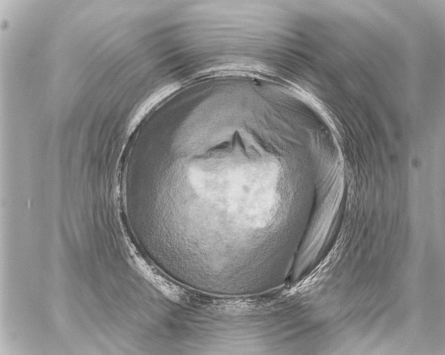 X0000059081042200511041816