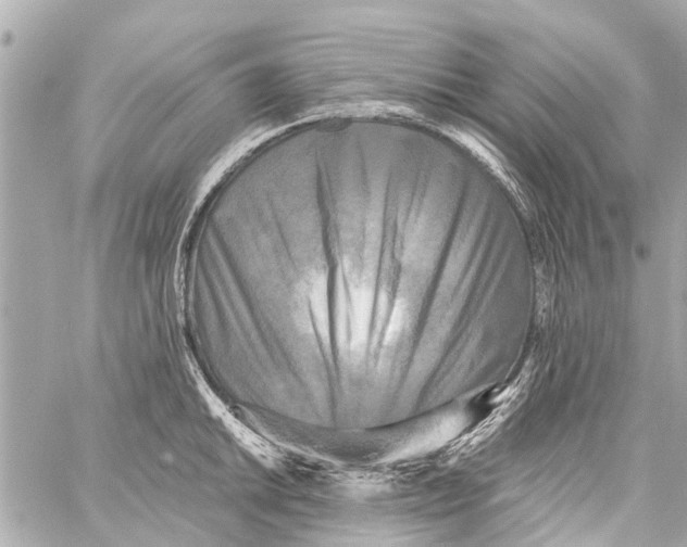 X0000059081046200511041816