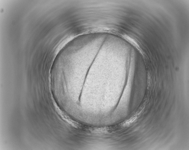 X0000059081047200511041816