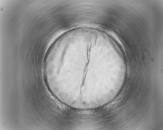 X0000059081048200511041816