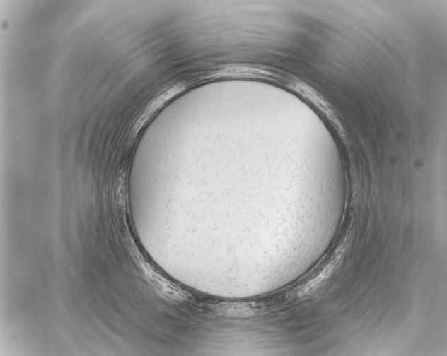 X0000059081049200511041816