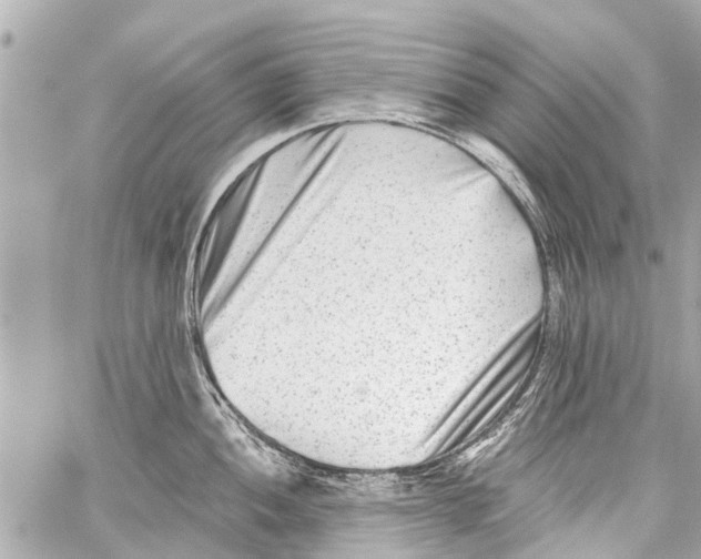 X0000059081052200511041816