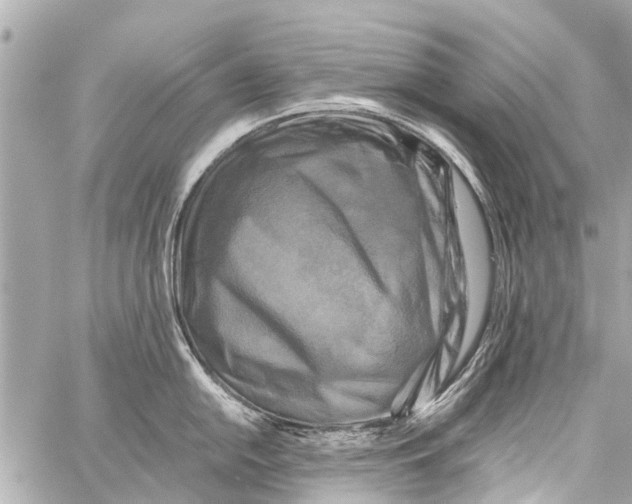 X0000059081054200511041816