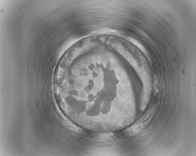 X0000059081055200511041816