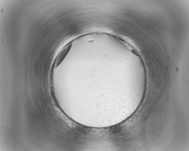 X0000059081056200511041816