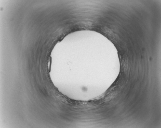 X0000059081057200511041815