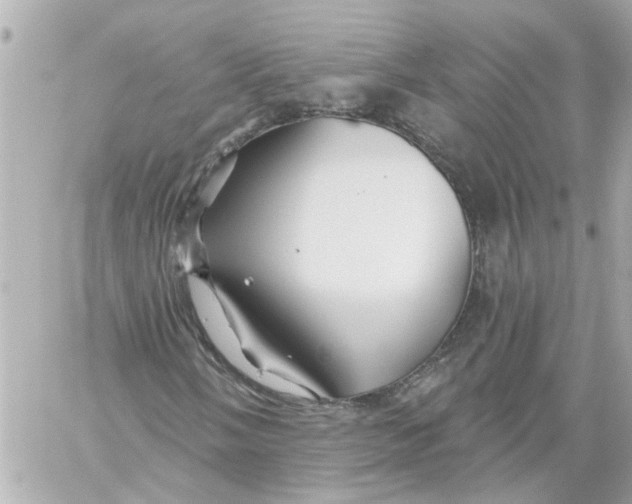 X0000059081058200511041815