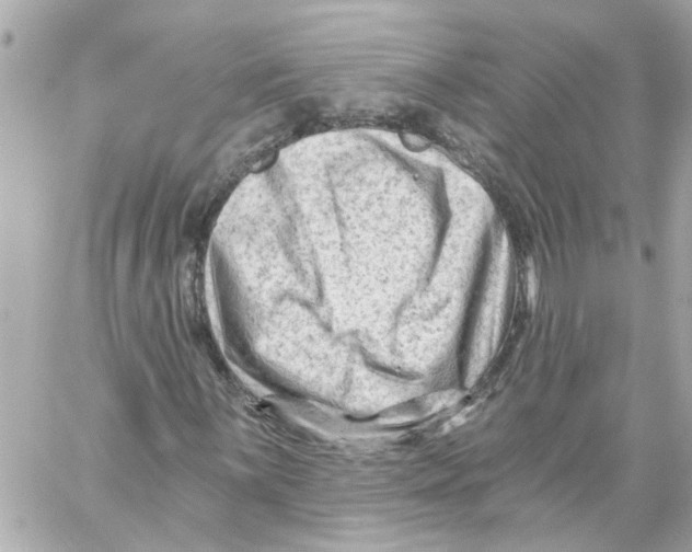 X0000059081059200511041815