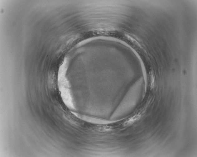 X0000059081060200511041815