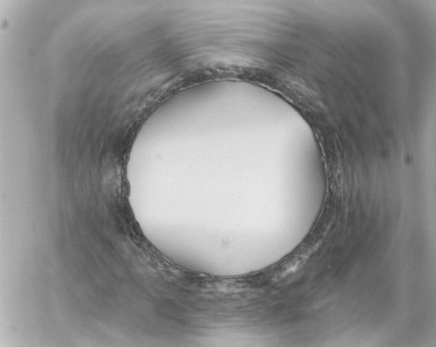 X0000059081061200511041815