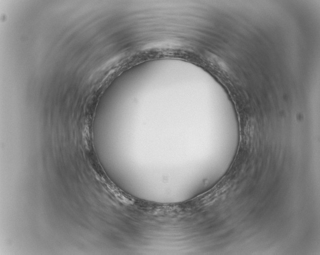 X0000059081062200511041815