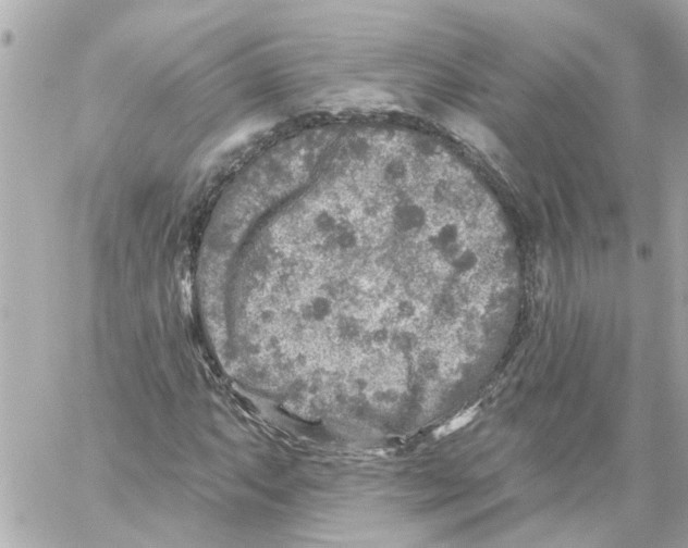 X0000059081063200511041815