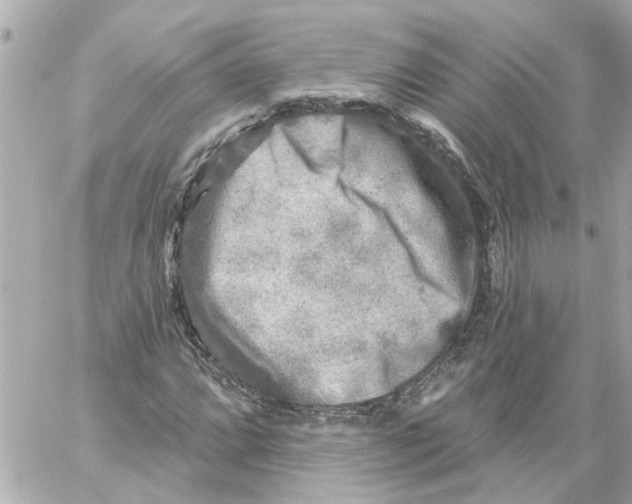 X0000059081064200511041815