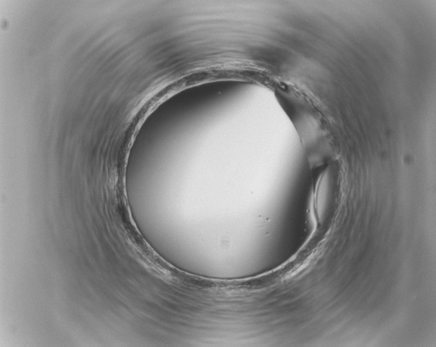 X0000059081065200511041815