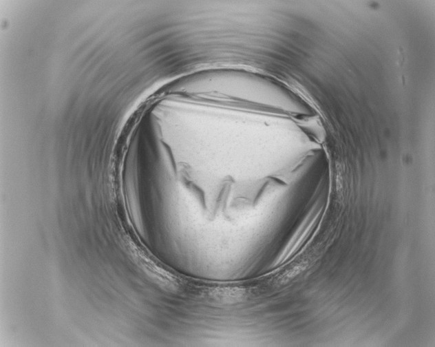 X0000059081068200511041815