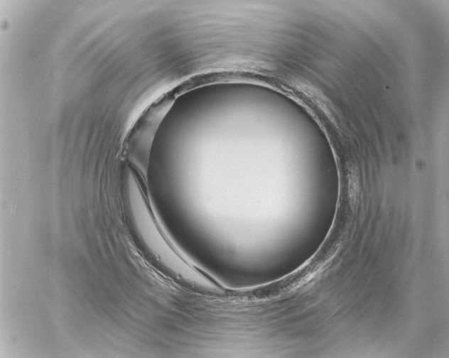 X0000059081069200511041815