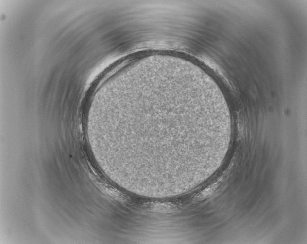 X0000059081070200511041815