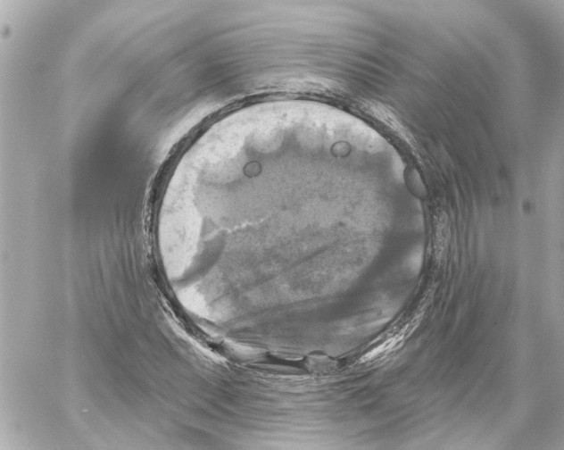 X0000059081071200511041815