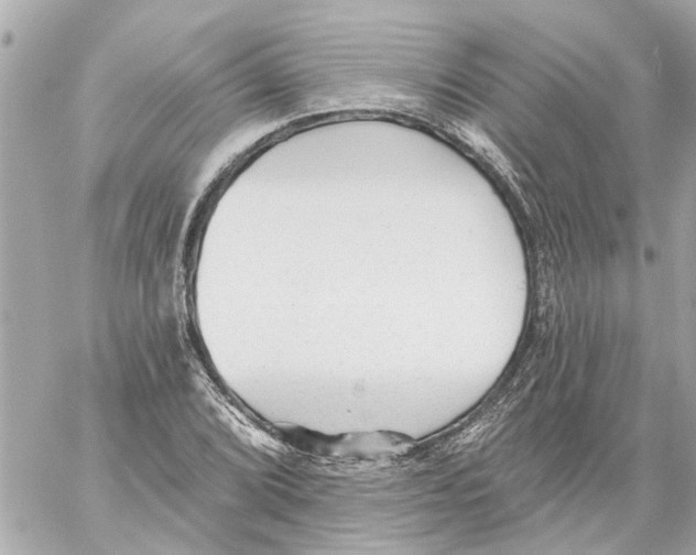 X0000059081072200511041815