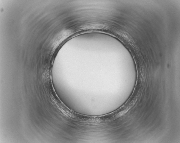 X0000059081073200511041815