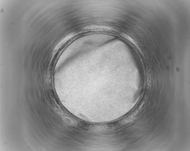 X0000059081074200511041815