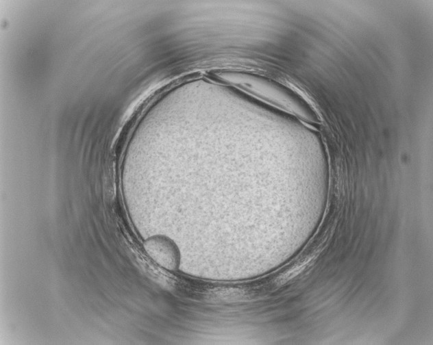 X0000059081075200511041815