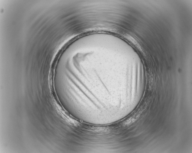 X0000059081076200511041815