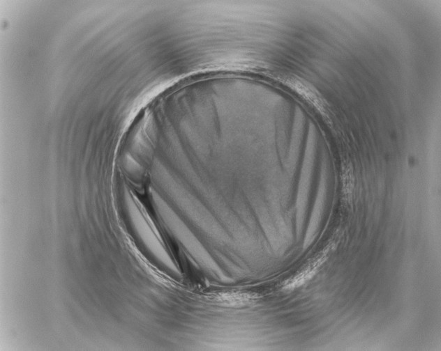 X0000059081077200511041815