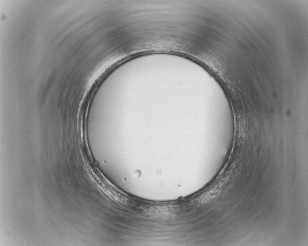 X0000059081078200511041815