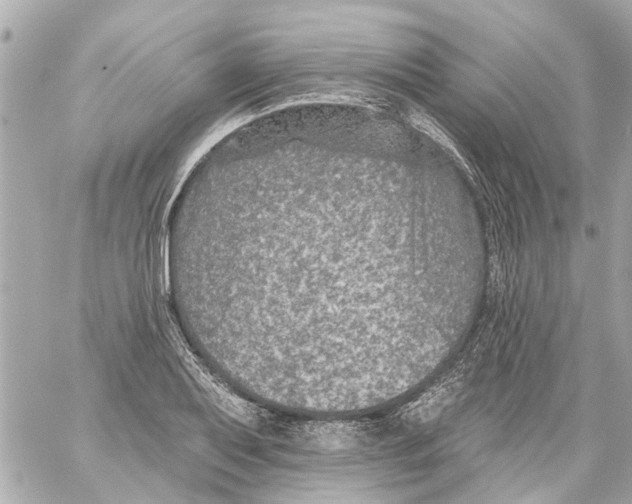 X0000059081079200511041815