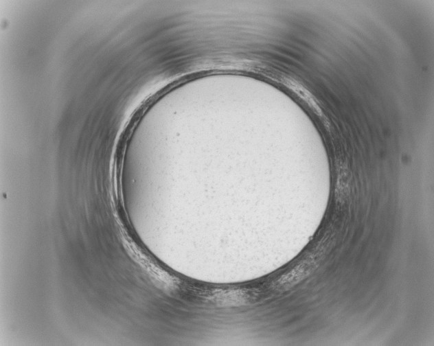 X0000059081080200511041815