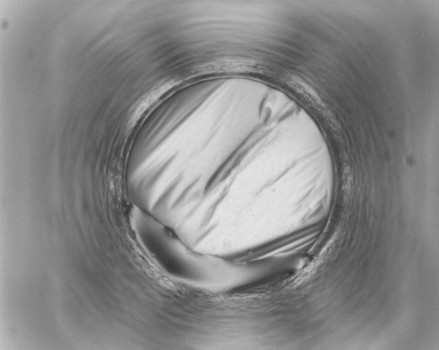 X0000059081081200511041815