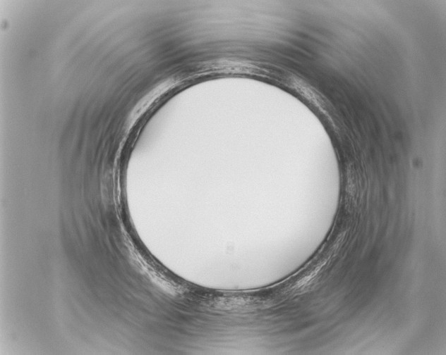 X0000059081082200511041815