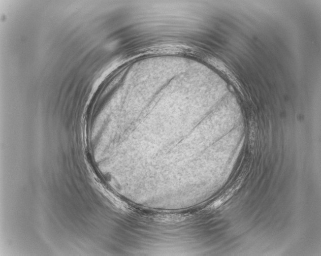 X0000059081083200511041815