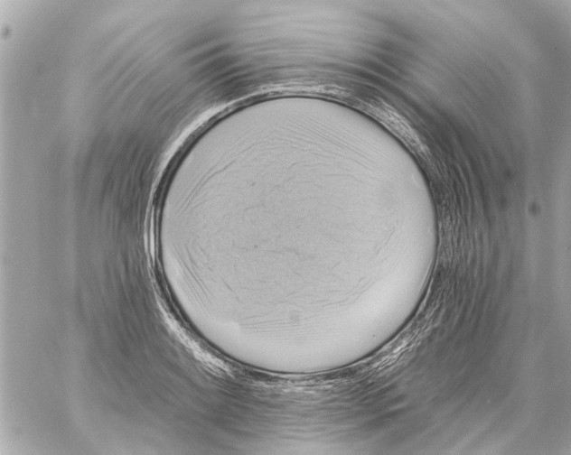 X0000059081084200511041815