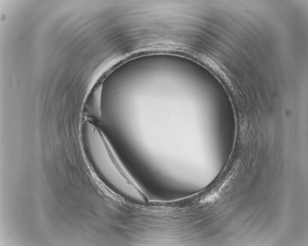 X0000059081085200511041815