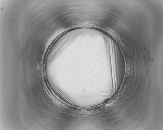 X0000059081086200511041815