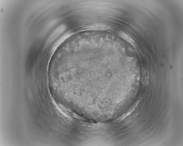 X0000059081087200511041815