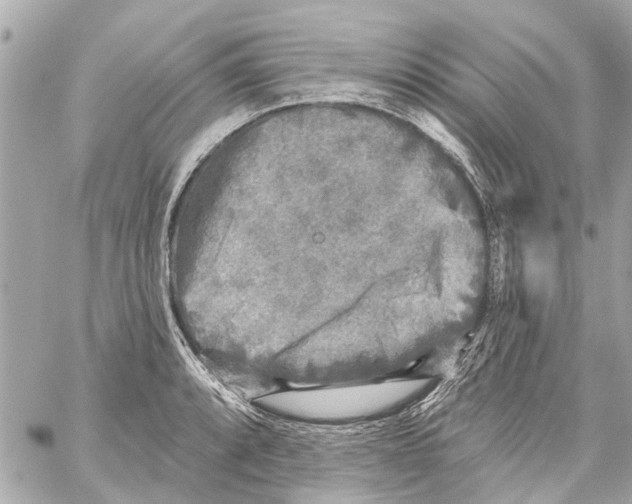 X0000059081088200511041815