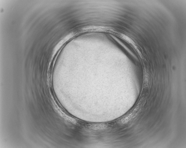 X0000059081090200511041815