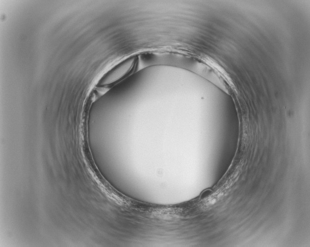 X0000059081093200511041815