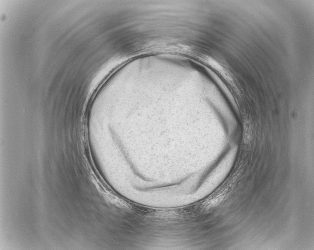 X0000059081094200511041815