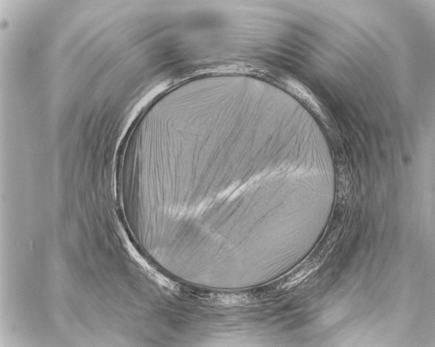 X0000059081095200511041815