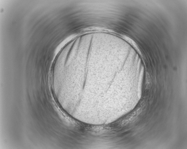 X0000059081098200511041815