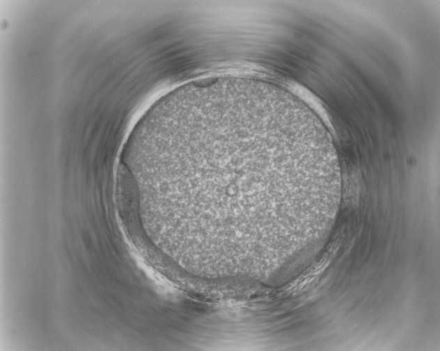 X0000059081099200511041815