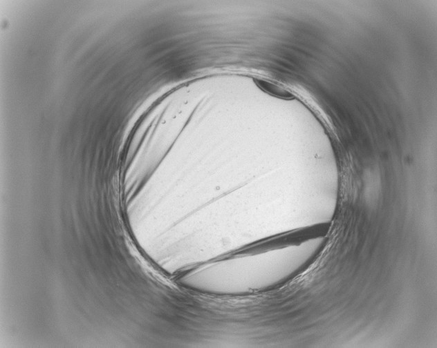 X0000059081100200511041815