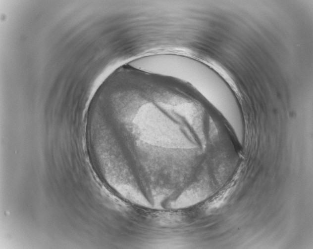 X0000059081102200511041815