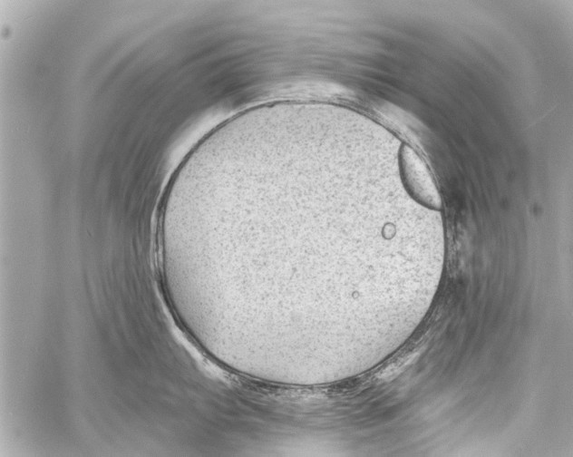 X0000059081103200511041814