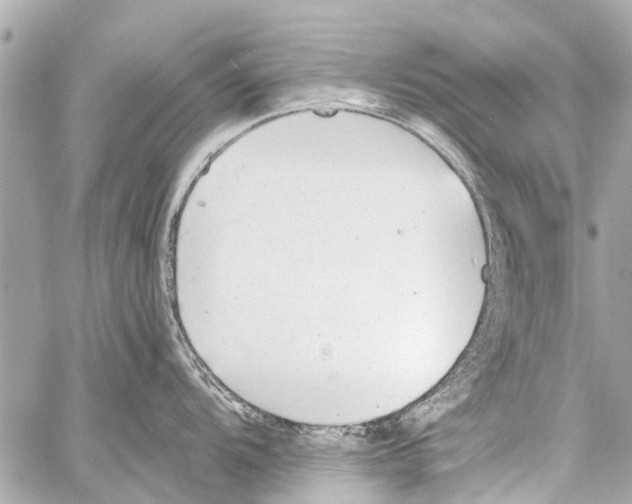 X0000059081104200511041814